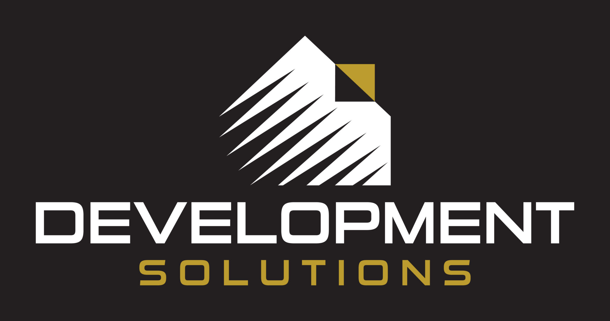 About Us – Development Solutions